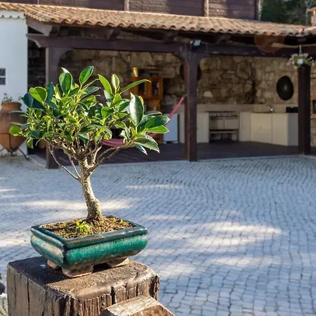 Quinta Dos Canteiros Fatima Exterior photo